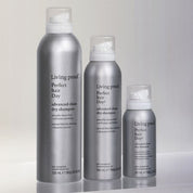 Perfect hair Day™ Advanced Clean Dry Shampoo Size Family