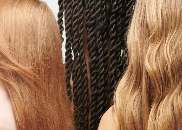 back of head image showcasing different hairtypes