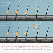 Diagram comparing Perfect hair Day™ Advanced Clean Dry Shampoo’s innovative formula and rinse-out shampoo: both remove oil from hair strands, resulting in just-washed softness. The dry shampoo applies, treats, cleanses; rinse-out uses water.