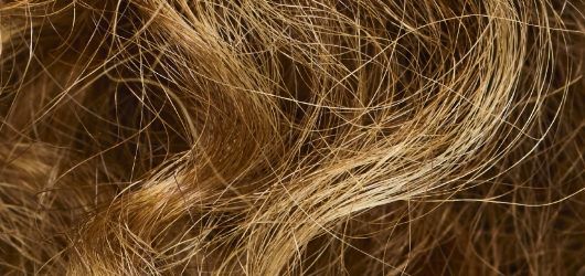 What is High Porosity Hair?