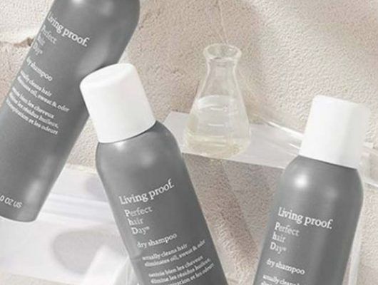 perfect hair day dry shampoo 