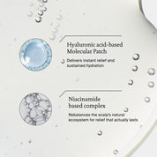 Infographic explaining Hyaluronic acid-based molecular patch and Niacinamide based complex ingredients used in Dry Scalp Treatment