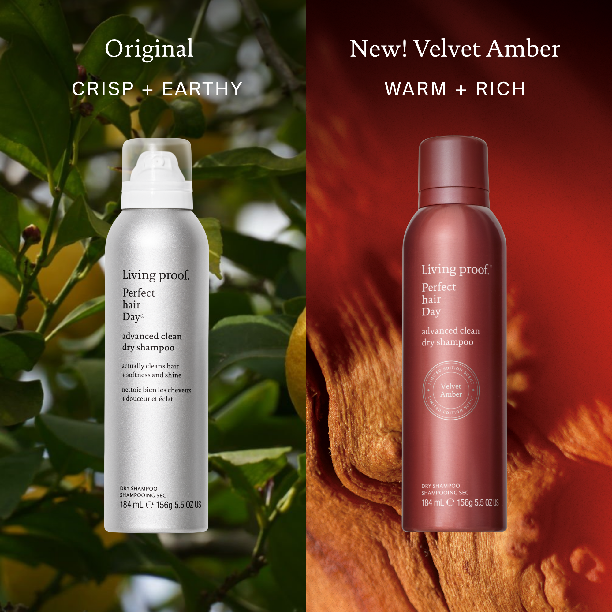 Advanced Clean Dry Shampoo Limited Edition Velvet Amber Living Proof