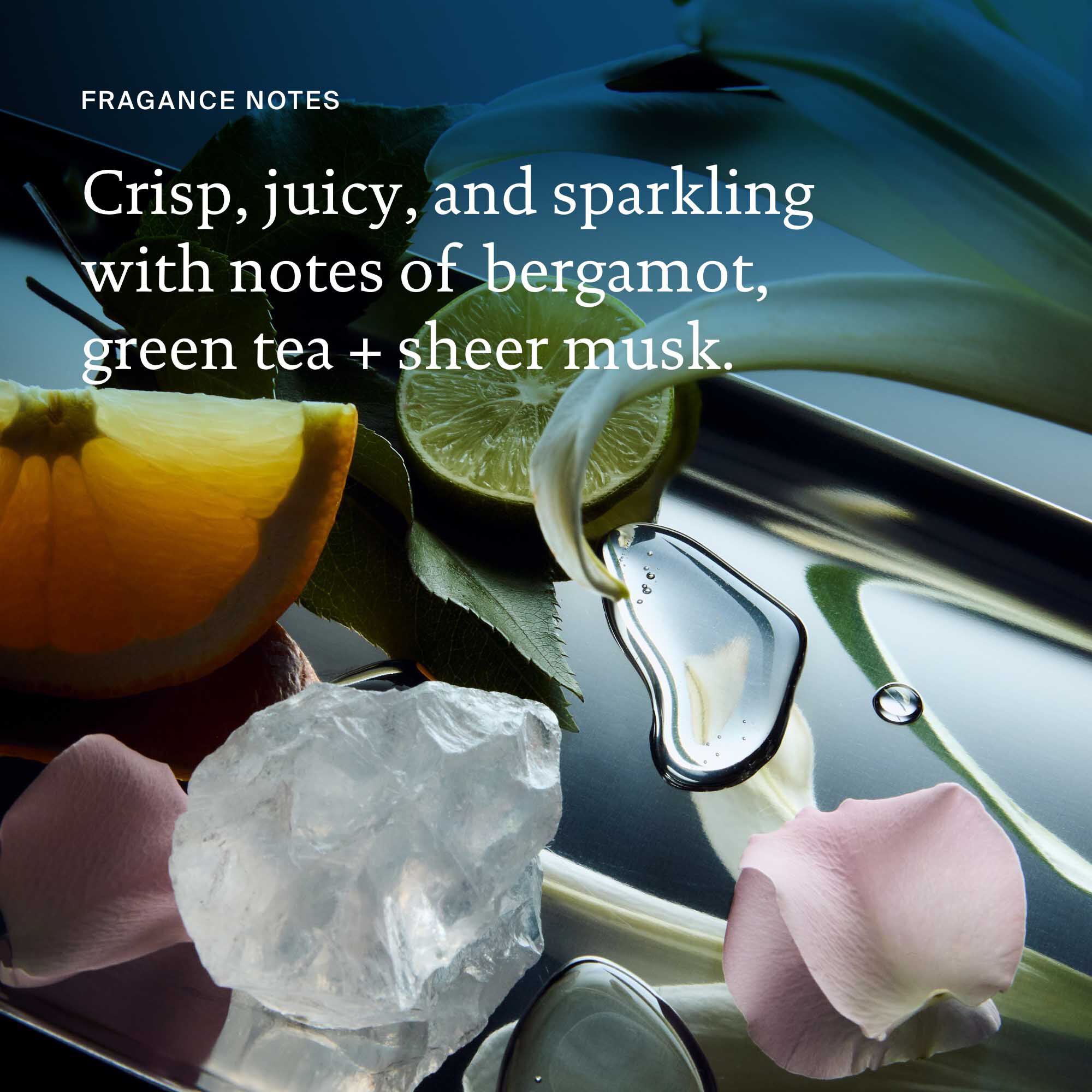 Fragrance notes for shampoo and conditioner: crisp, juicy and sparkling with notes of bergamot, green tea + sheer musk