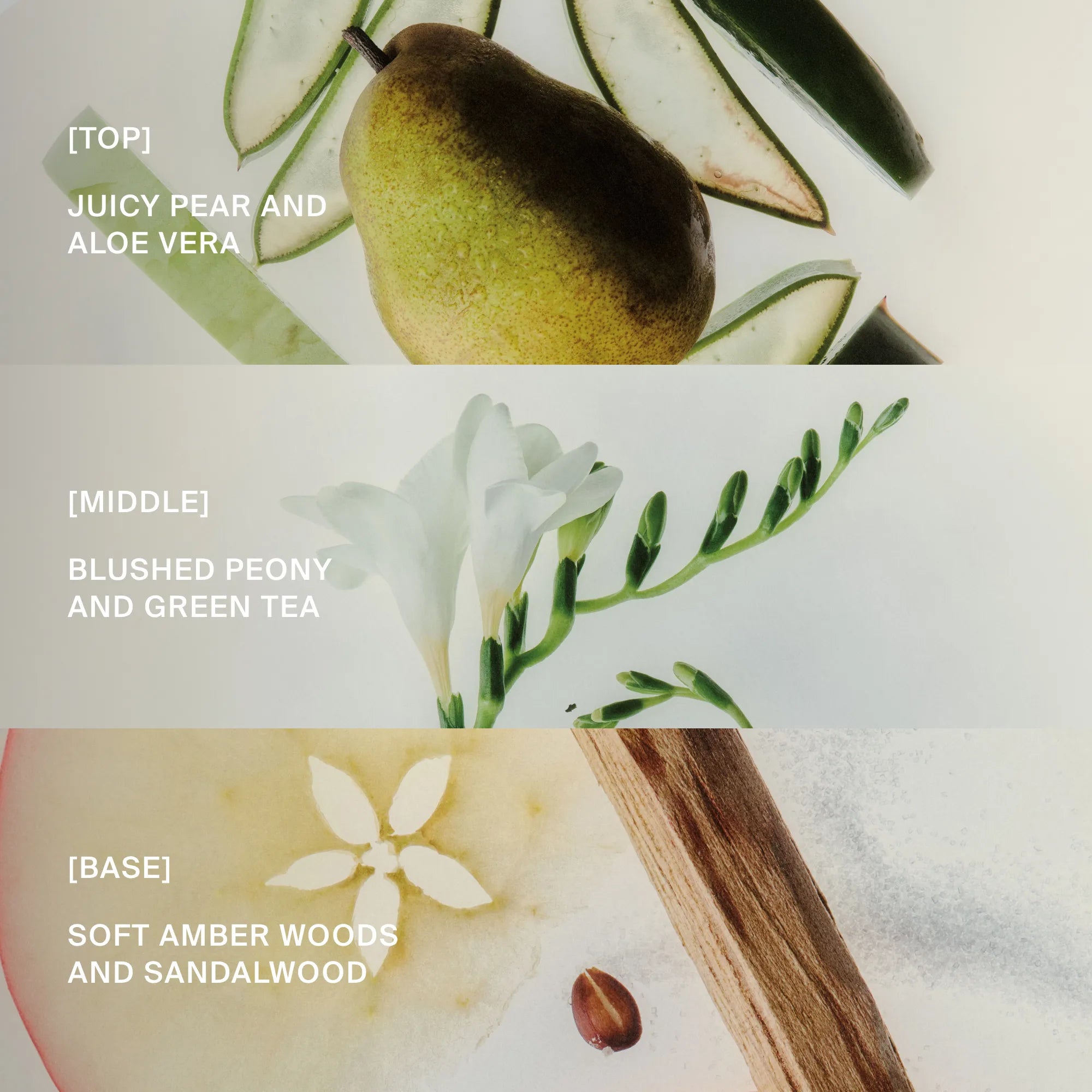Three sections showcasing a pear, peony, and sandalwood with text labels on a light background.