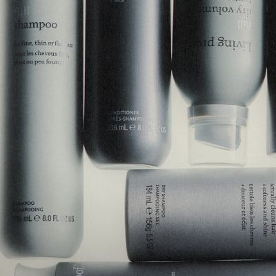 Collection of haircare products from Living Proof on a white background