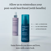 Leave-In Conditioning Spray