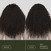 Split image showing the back of a person’s head with curly hair. Left side (“Before”) shows frizzy curls; right side (“After”) shows defined, shiny curls labeled Curl Shampoo + Curl Conditioner to detangle and define curls.