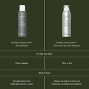 Two bottles of Perfect Hair Day dry shampoo on a green background with text describing their uses.
