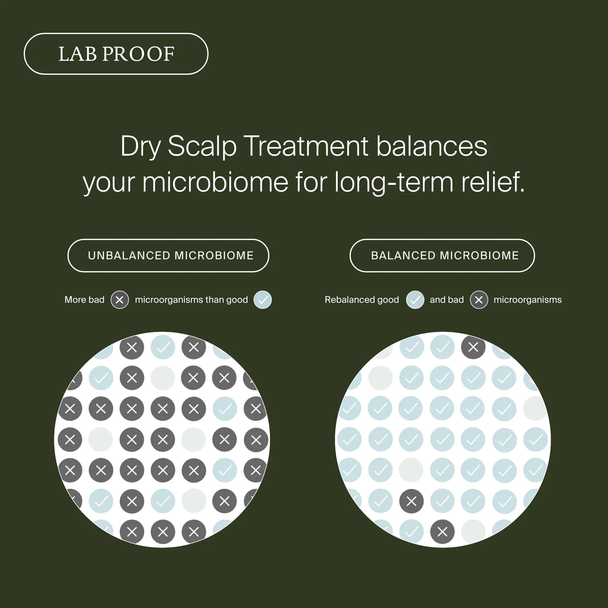 Diagram showing the difference between an unbalanced and balanced microbiome on a scalp, with text about dry scalp treatment.