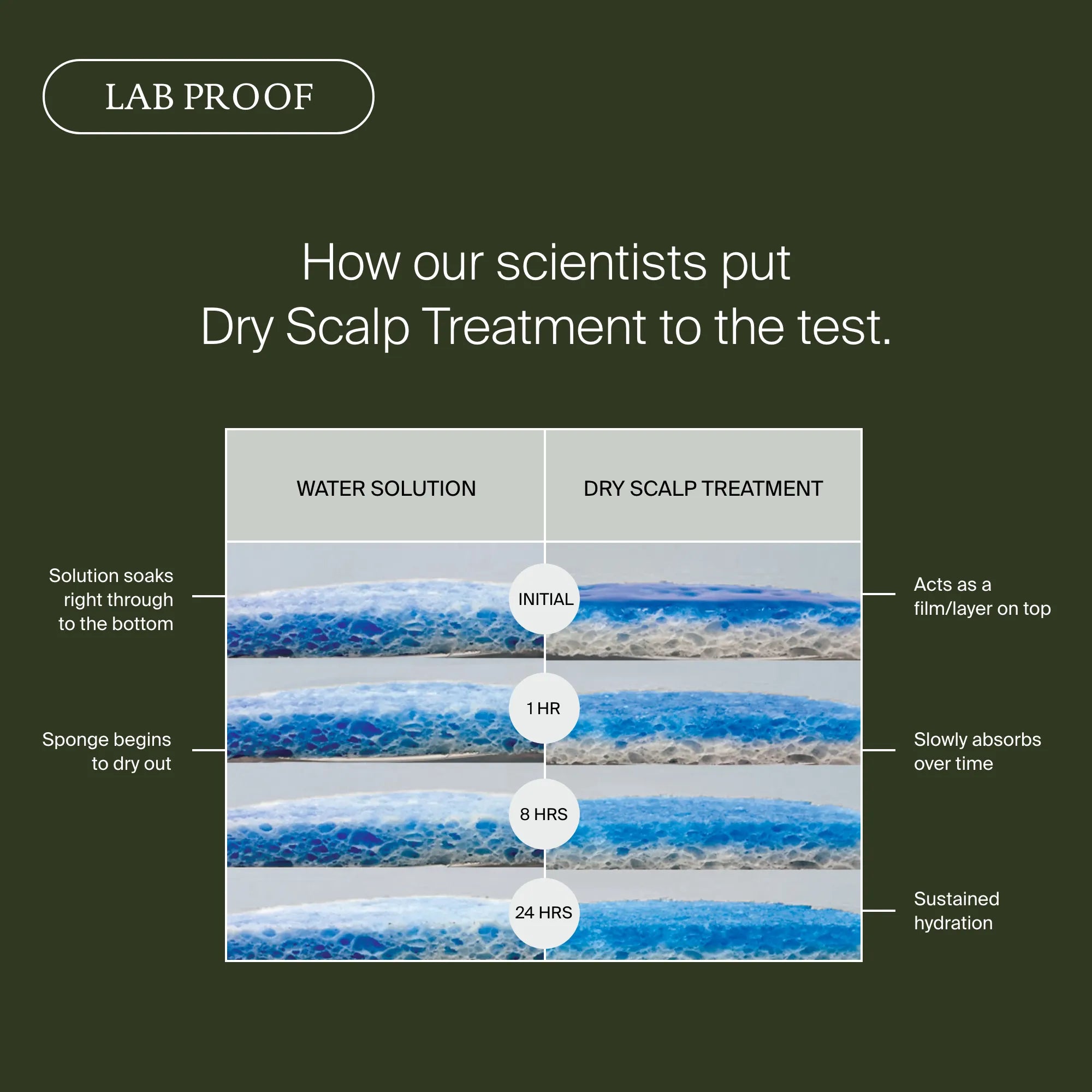 Lab proof graphic showing dry scalp treatment test with water solution comparison on a dark green background.