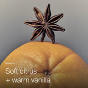 Star anise on a orange with text 'Notes of: Soft citrus + warm vanilla' on a gray background