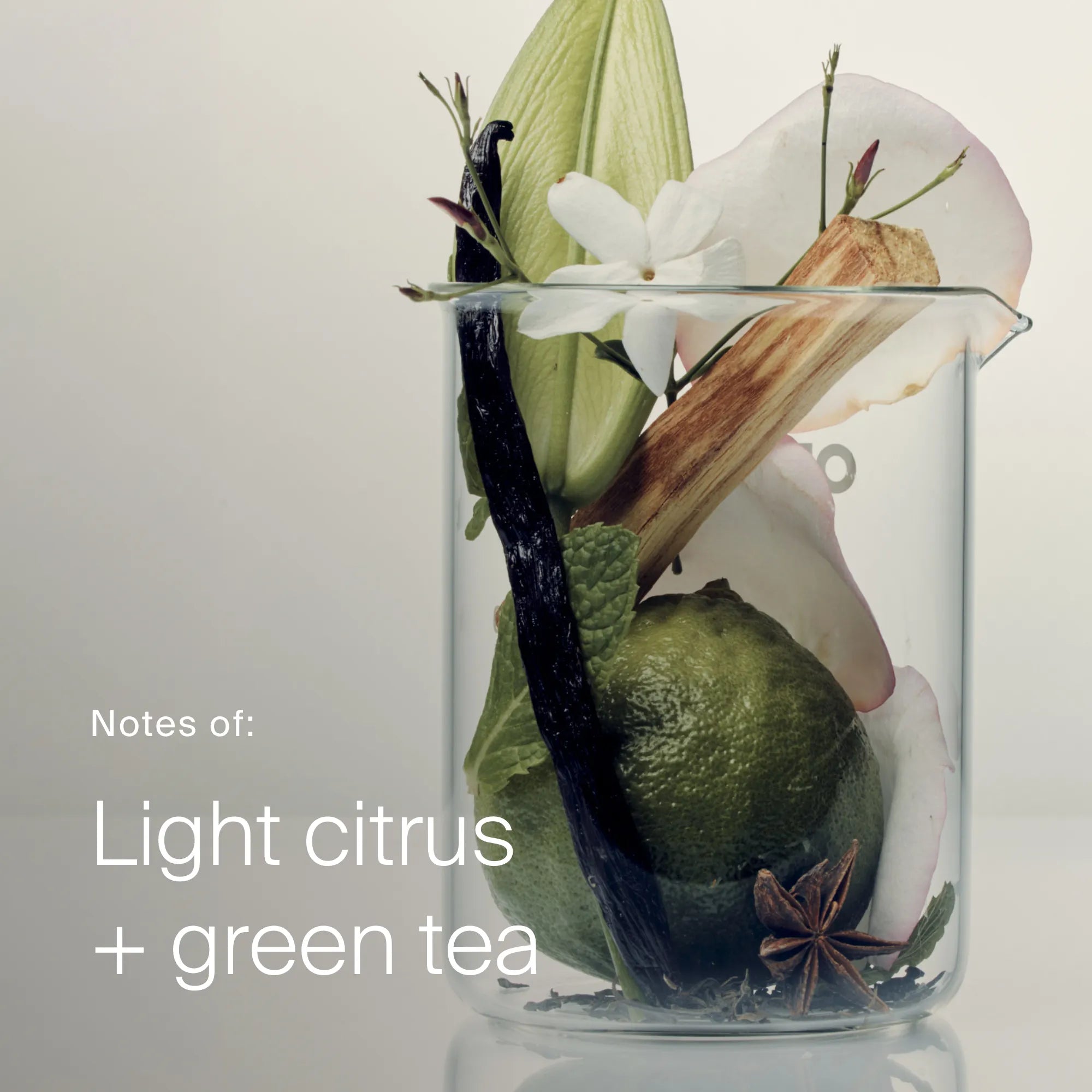 A clear glass beaker holds green citrus fruits, green tea leaves, white flowers, and spices. Text reads: Full Shampoo—notes of light citrus + green tea for refreshing volume and improved hair texture. Soft gray background.