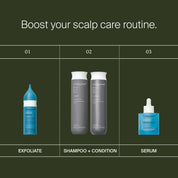 Hair care product lineup with exfoliate, shampoo + condition, and serum on a green background.