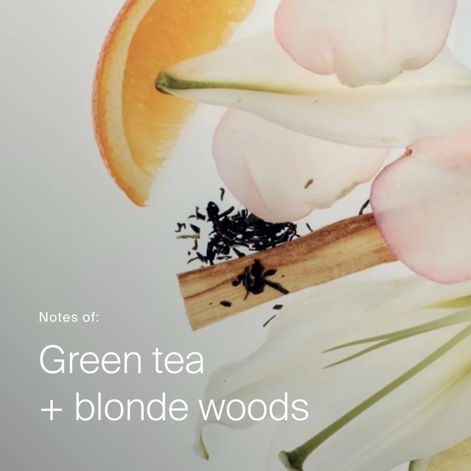 A flat lay of orange slice, green tea leaves, cinnamon stick, and petals highlights Scalp Care Exfoliator—a pre-shampoo treatment that exfoliates and reduces dry scalp flaking. Text: Notes of Green Tea + Blonde Woods.