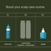 Infographic titled "Boost your scalp care routine": 1) Exfoliate with Scalp Care Exfoliator, 2) Cleanse and condition with Living Proof shampoo and conditioner, 3) Apply serum as a pre-shampoo treatment to help reduce dry scalp flaking.