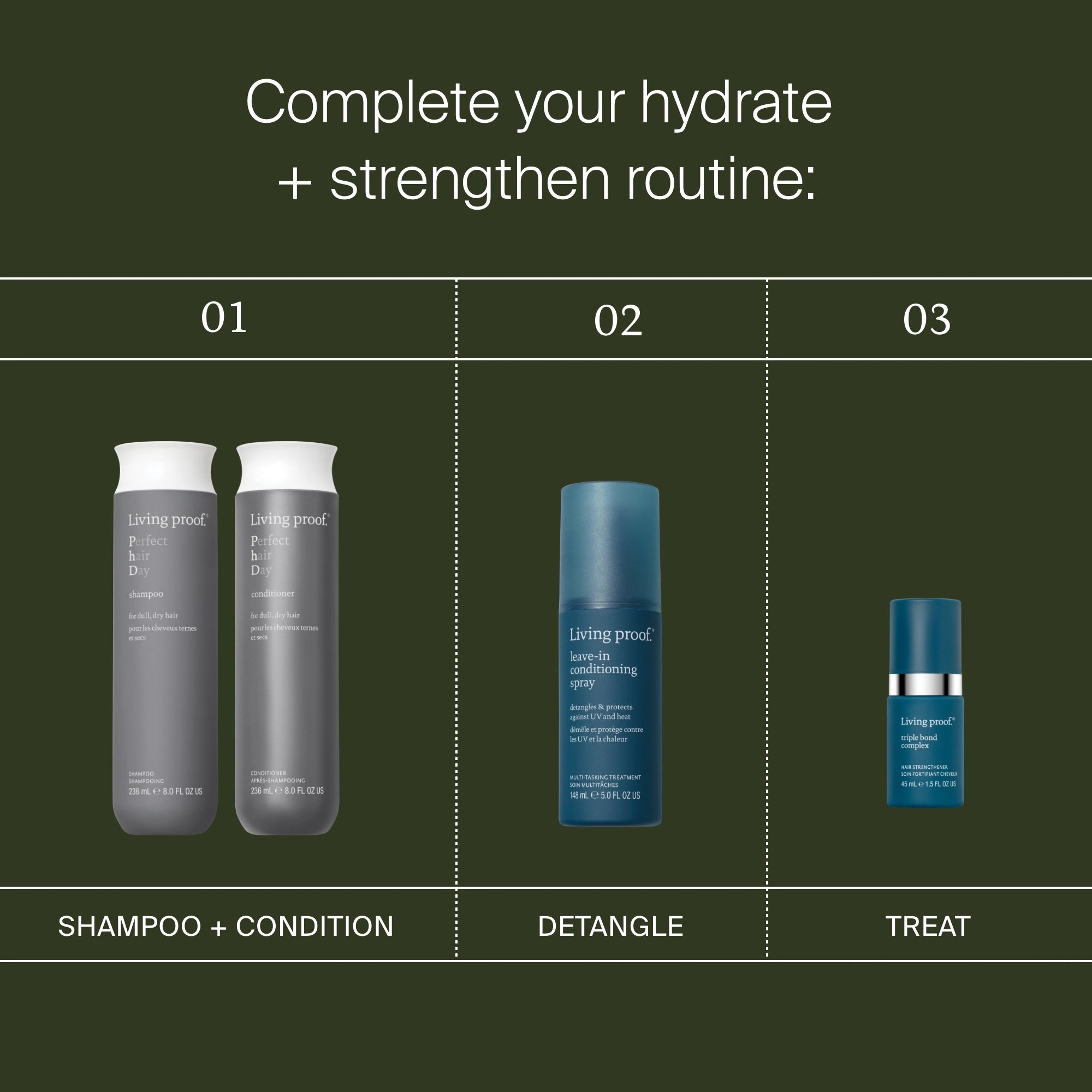 A graphic displays a three-step hair routine: Step 1 uses Living Proof shampoo and conditioner, Step 2 highlights Leave-In Conditioning Spray for protection, and Step 3 features all-day conditioning treatment on a dark green background.