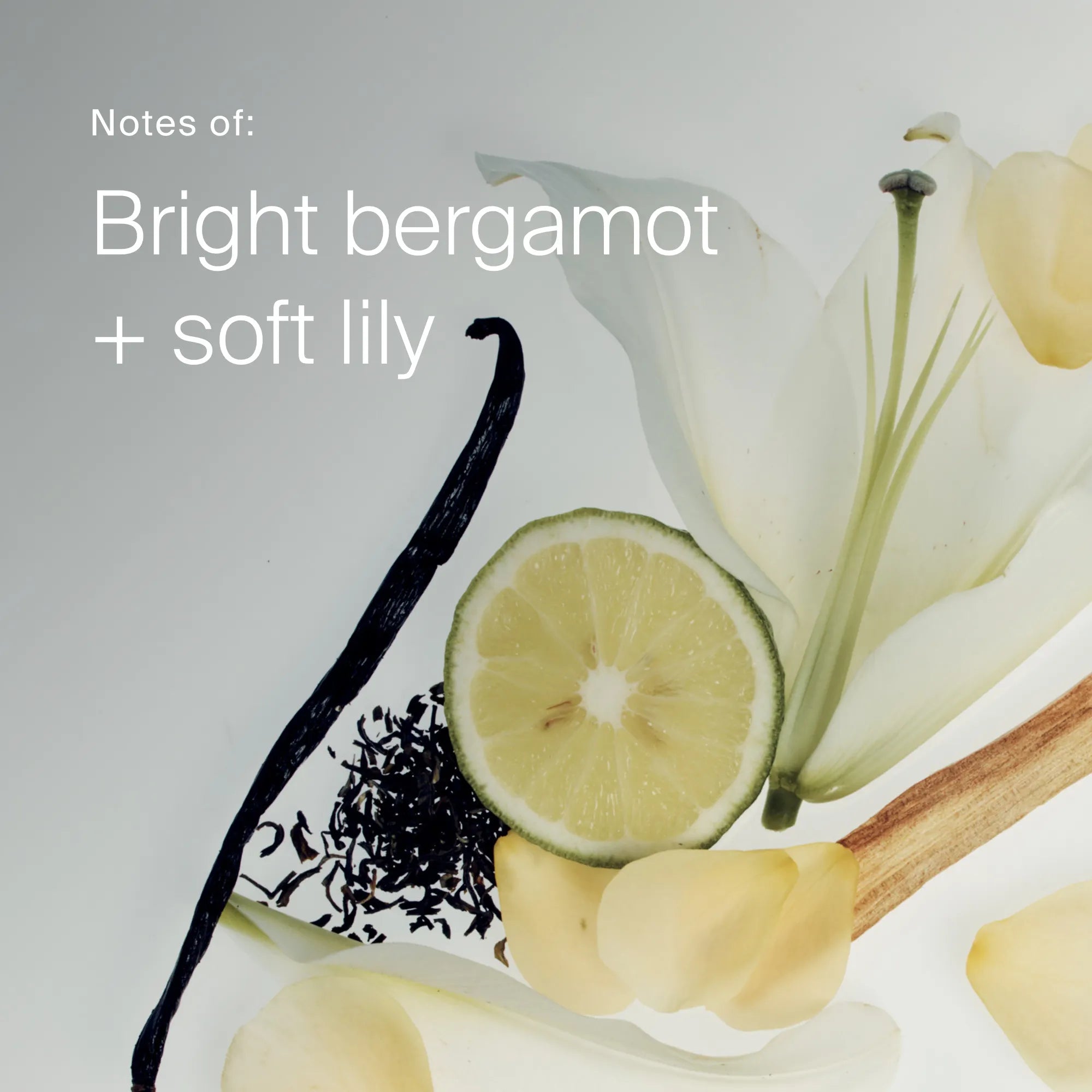 A slice of lemon, vanilla bean, loose tea leaves, cinnamon stick, white lily flower, and yellow petals are arranged on a light surface. No Frizz Smooth Styling Cream offers bright bergamot and soft lily notes for medium hair with frizz control.
