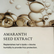 Close-up image of translucent golden bubbles above the text: No Frizz Vanishing Oil. Hydrate hair, replenish lipids, and block humidity for smooth, shiny hair with frizz protection.