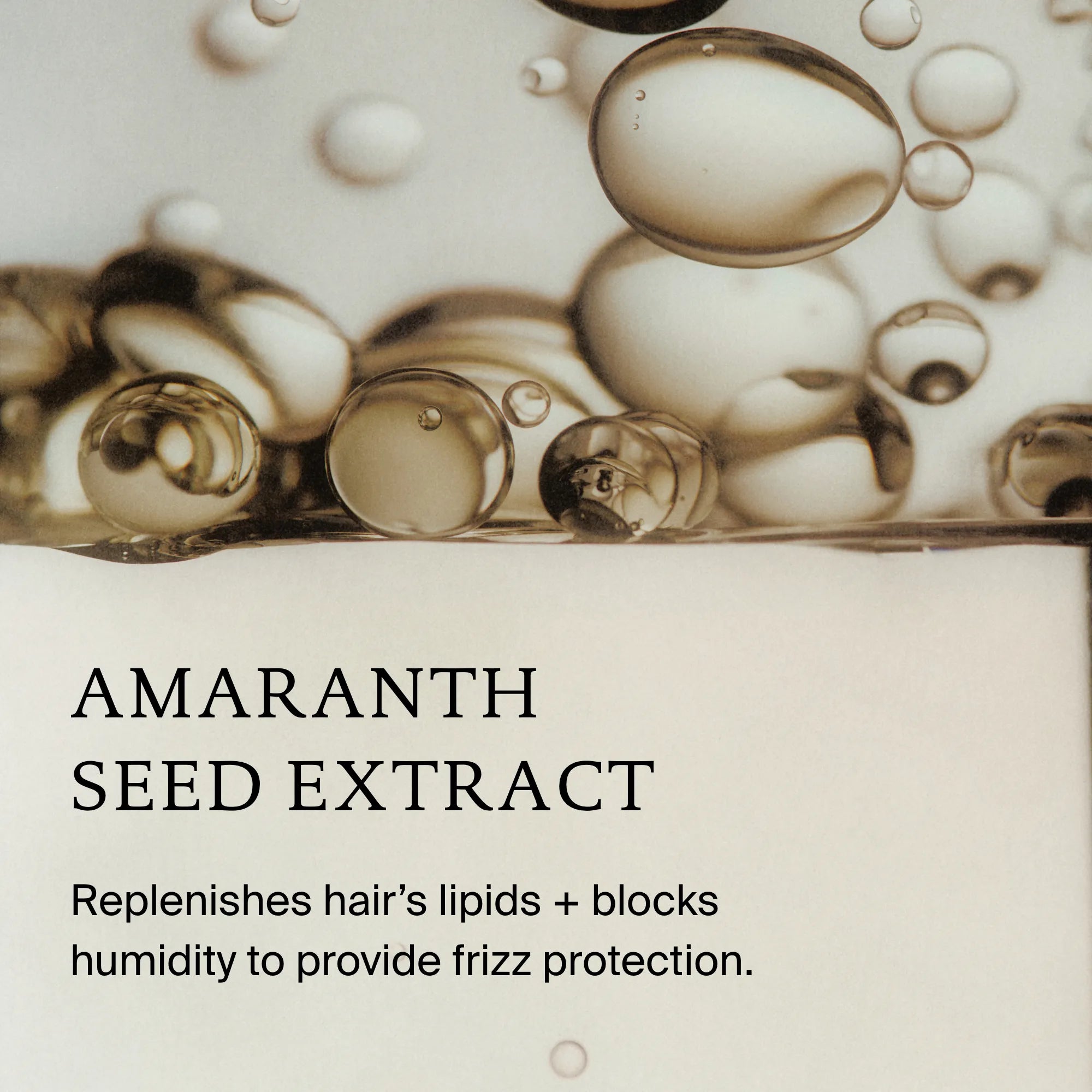 Close-up image of translucent golden bubbles above the text: No Frizz Vanishing Oil. Hydrate hair, replenish lipids, and block humidity for smooth, shiny hair with frizz protection.