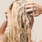 Shampoo  hi-res