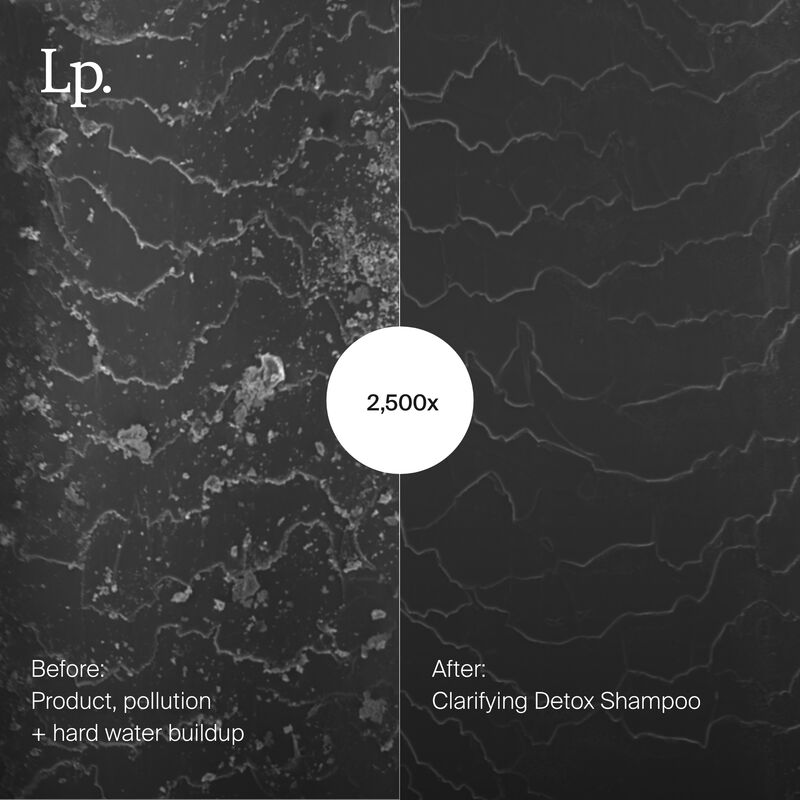 Clarifying Detox Shampoo Full 8 oz hi-res