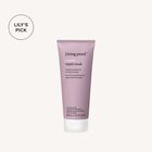 Repair Mask