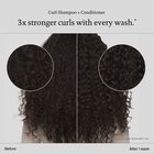 Curly Hair Essentials  hi-res