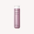 Conditioner