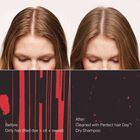 Dry Shampoo  hi-res