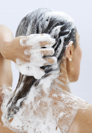 Shop Shampoos